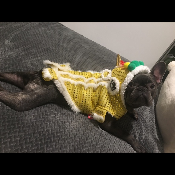 Meet your posher, Sze! - Picture 5 of 6